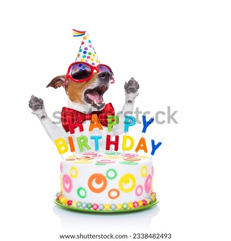 jack russell dog as a surprise, singing birthday song ,behind funny cake, wearing red tie and party hat , isolated on white background