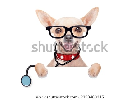 chihuahua dog as a medical veterinary doctor with stethoscope and first aid kit behind a white and blank banner ,isolated on white background