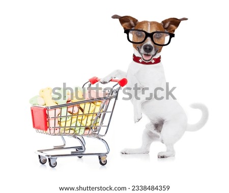 jack russell dog pushing a shopping cart full of tasty treats and cookies , isolated on white background