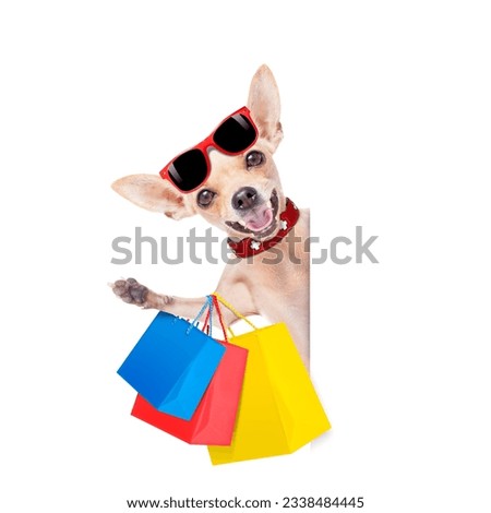 chihuahua dog with a bunch of shopping bags ready to buy everything on sale and with discount, isolated on white background