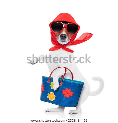 jack russell dog diva lady with bag shopping at supermarket , isolated on white background