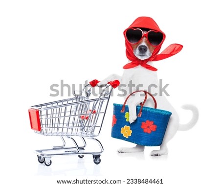 crazy and silly jack russell dog diva lady with bag pushing empty supermarket cart , isolated on white background