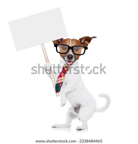 jack russell dog office worker with tie, black glasses holding a blank empty white placard, isolated on white background