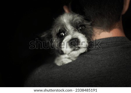 dog and owner together in love embracing each other very close, you can feel the affection