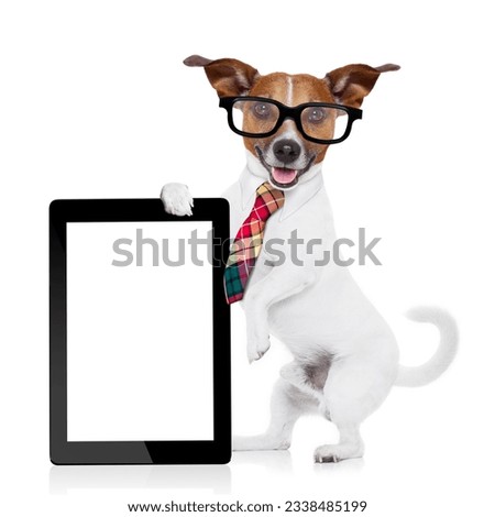 jack russell dog office worker with tie, black glasses holding a tablet pc computer laptop, isolated on white background