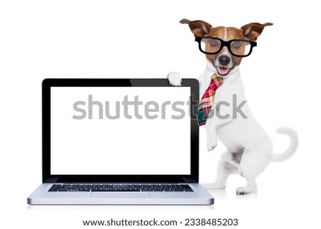 jack russell dog office worker with tie, black glasses holding a tablet pc computer laptop, isolated on white background