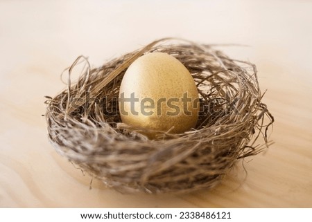 Golden Egg in a Nest. Conceptual image. Golden investment, nest egg for the future.
