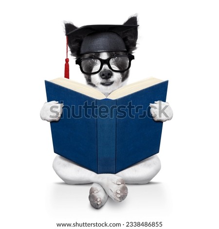 black terrier graduated diploma dog sitting reading a big book, isolated on white background