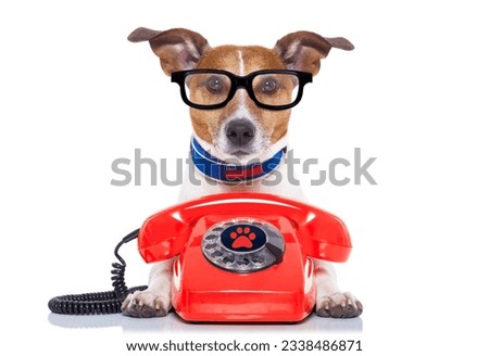 Jack russell dog with glasses as secretary or operator with red old dial telephone or retro classic phone