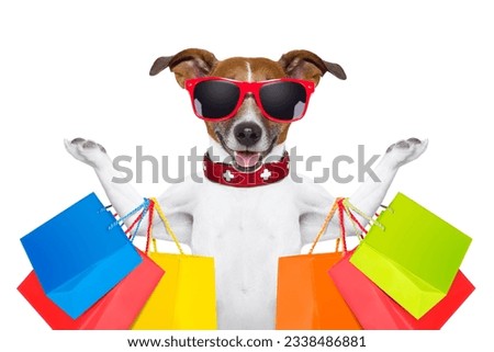 jack russell dog with shopping bags ready for discount and sale at the mall, isolated on white background