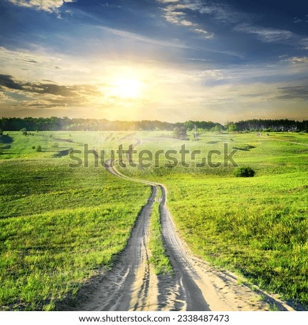 Country road through the green spring field