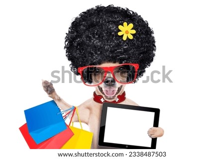 chihuahua dog with shopping bags , holding a blank pc computer tablet screen ,ready for discount and sale at the mall, isolated on white background