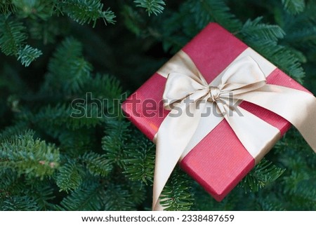 nicely wrapped present at christmas tree