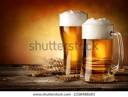 Two mugs of beer and wheat on a wooden table