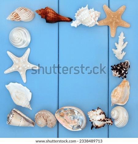 Sea shell collage over wooden blue background.