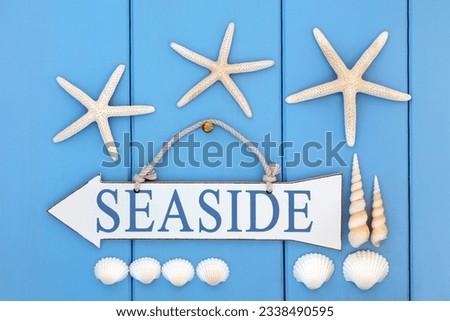 Seaside sign, starfish, cockle and turritella shells over wooden blue background.