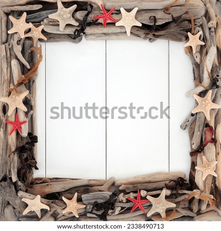 Starfish sea shells, driftwood and seaweed frame forming an abstract border over wooden white background.