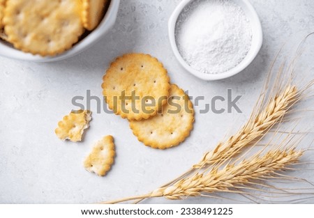 Graham cracker with salt on a white isolated background. toning. selective focus