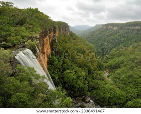 Fitzroy Falls drops 81 metres into the Yarrunga Valley below filled with eucalypt trees and rainforest plants. Located in the Morton National Park, Southern Highlands of NSW, Australia