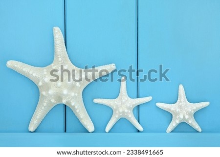 Starfish seashells on a wooden blue background.