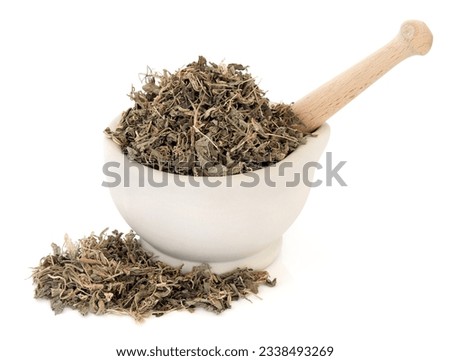 Gentian leaf herb in a stone mortar with pestle over white background. Qin jiao. Gentiana.