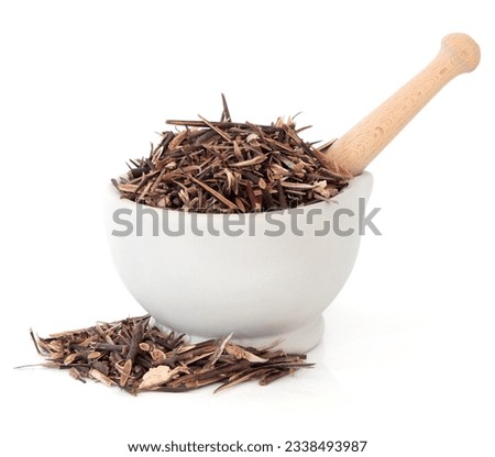 Chinese honey locust herb used in herbal medicine in a stone mortar with pestle over white background. Zao jiao