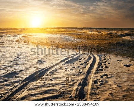 Auto traces in a sand desert at sunset