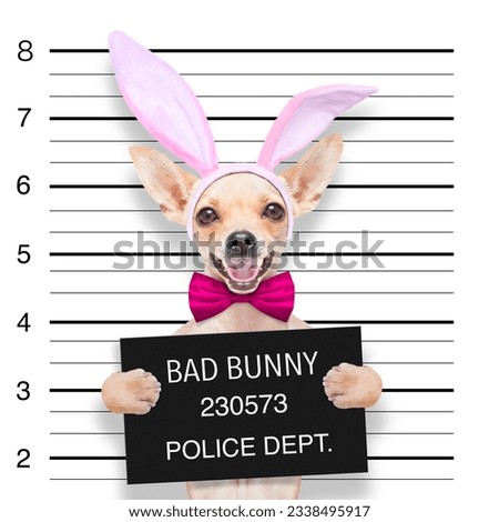 very bad chihuahua dog, at the police station ,holding banner or placard as a mugshot