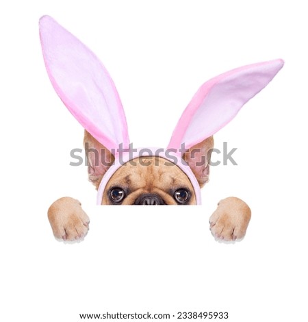 french bulldog dog with bunny easter ears and pink tie behind a white blank banner or placard, isolated on white background