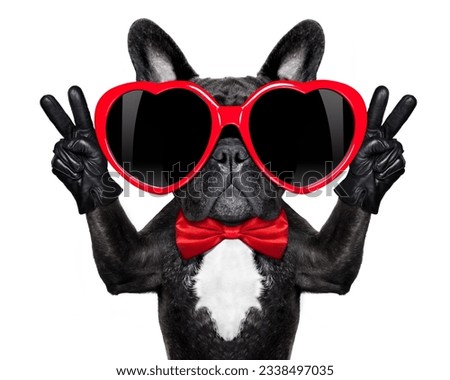 french bulldog dog happy and in love , showing peace and victory fingers , isolated on white background