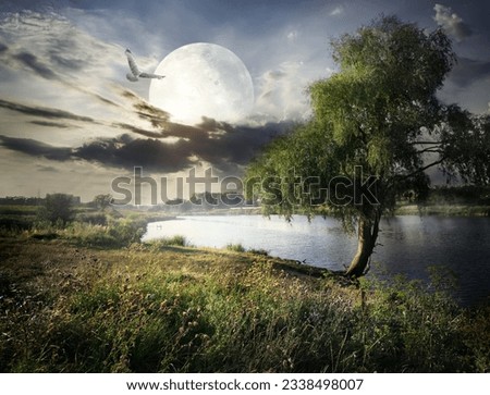 Willow near river and bird under full moon. Elements of this image furnished by NASA