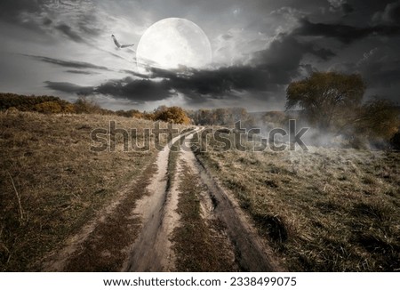 Country road under round moon at the night. Elements of this image furnished by NASA
