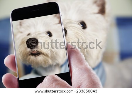 Male hand with smartphone taking a photo of a dog