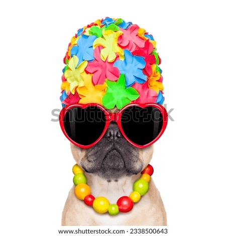 fawn french bulldog dog ready for summer vacation or holidays, wearing sunglasses, isolated on white background
