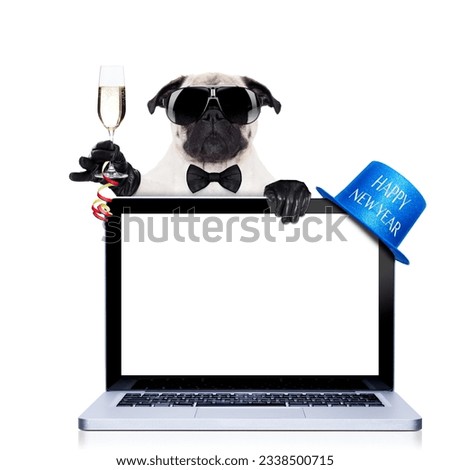 pug dog behind a laptop pc laptop computer screen, isolated on white background dog ready to toast for new years eve, behind a laptop pc computer, isolated on white background