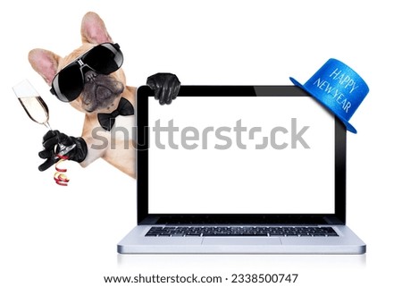 french bulldog dog ready to toast for new years eve, behind a laptop pc computer, isolated on white background