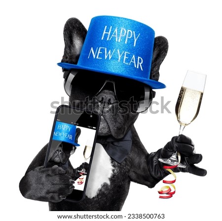 french bulldog dog ready to toast for new years eve, taking a selfie or photo, isolated on white background