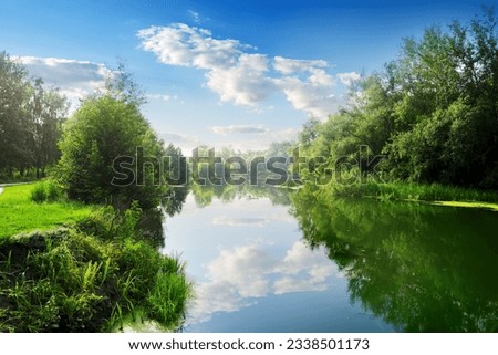 Beautiful river in the summer day