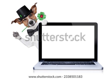 jack russell terrier dog ready toast for new years eve, wishing good luck with a four leaf clover , behind a laptop pc computer , isolated on white background