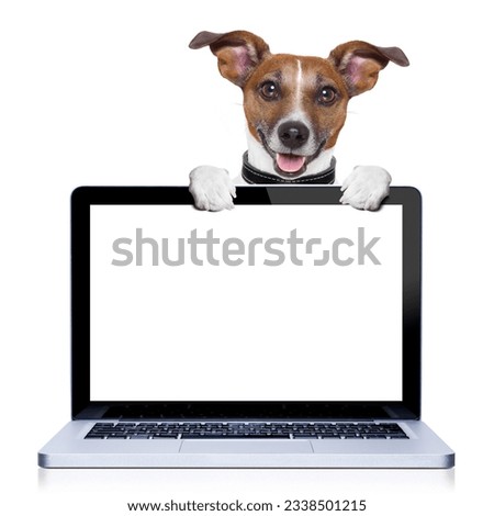 jack russell terrier dog behind a pc computer screen, isolated on white background
