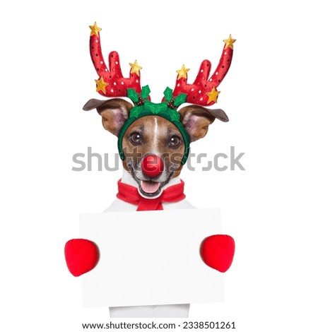 reindeer dog holding a blank white placard or banner with a red nose , isolated on white background