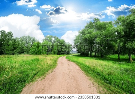 Country road and green trees at sunny day