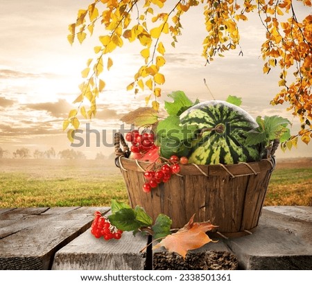 Basket with watermelons on a nature background