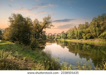 Pink sunset over river in the forest