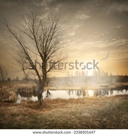 Bird over autumn river at sunrise with fog