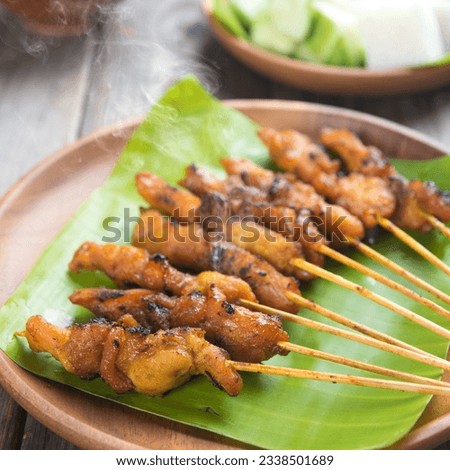 Yummy chicken sate or satay, skewered and grilled meat, served with peanut sauce. Fresh cooked with steamed and smoke. Hot and spicy Asian dish.