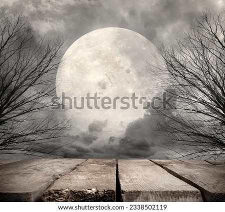 Spooky forest with full moon. Elements of this image furnished by NASA