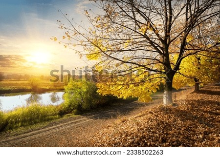 Road through the autumn forest by the river