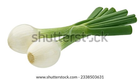 Green onion isolated on white background with clipping path Royalty-Free Stock Photo #2338503631