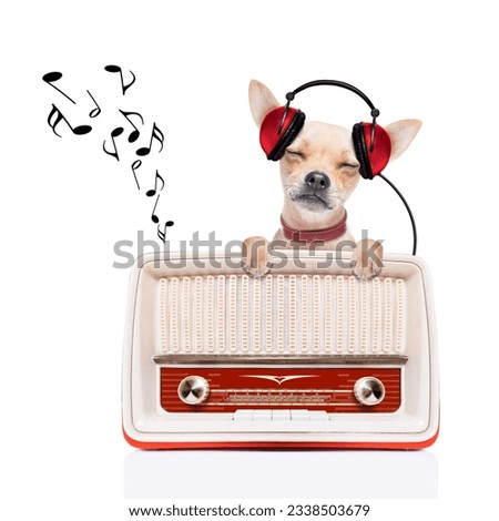 chihuahua dog listening music, while relaxing and enjoying the sound of an old retro radio, isolated on white background